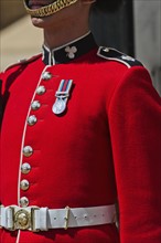 UK, England, London, Royal Guard.