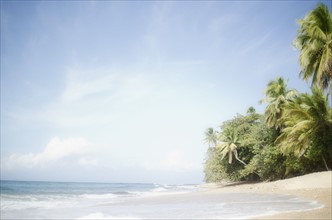 USA, Puerto Rico, Ricon, Tropical beach. 
Photo : Jamie Grill