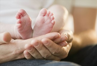 Father holding feet of baby son (2-5). 
Photo: Jamie Grill