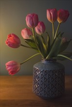 Tulips in vase. 
Photo : Jamie Grill