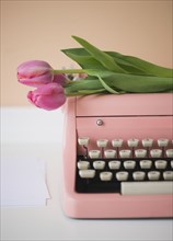 Pink typewriter and tulips. 
Photo : Jamie Grill