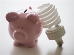 Still life with piggy bank and energy efficient light bulb. 
Photo: Jamie Grill