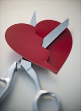 Scissors cutting paper heart. 
Photo : Jamie Grill