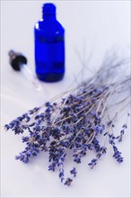 Close up of lavender and laboratory glassware, studio shot. 
Photo: Daniel Grill