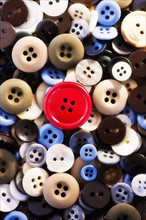 Close up of colorful buttons, studio shot. 
Photo : Daniel Grill