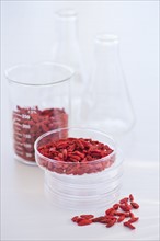 Close up of goji berries in laboratory glassware, studio shot. 
Photo : Daniel Grill