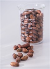 Close up of cocoa beans in beaker, studio shot. 
Photo : Daniel Grill