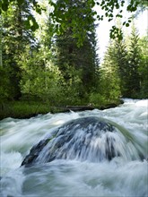 USA, Colorado, Mountain creek in forest. 
Photo : John Kelly