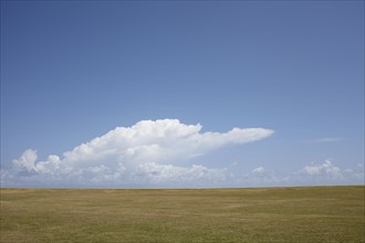 Puerto Rico, Old San Juan, Landscape with field and clouds. 
Photo: Winslow Productions