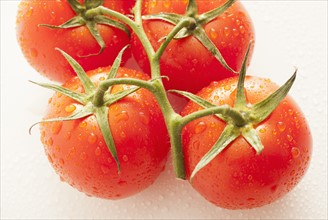 Fresh tomatoes with water drops. 
Photo : Mike Kemp