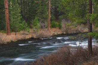 USA, Oregon, Deschutes County, River view. 
Photo: Gary Weathers