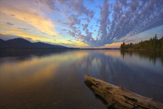USA, Washington, Lake Quinault at sunset. 
Photo : Gary Weathers