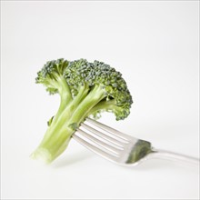 Broccoli on fork, studio shot. 
Photo: Jessica Peterson