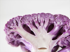Purple cauliflower on white background. 
Photo: Jessica Peterson