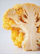 Yellow cauliflower on white background. 
Photo: Jessica Peterson