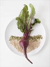 Beetroot and seeds on plate, studio shot. 
Photo: Jessica Peterson