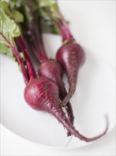 Beetroots on plate, studio shot. 
Photo: Jessica Peterson