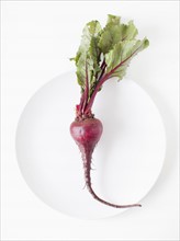 Beetroots on plate, studio shot. 
Photo: Jessica Peterson
