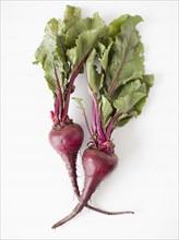 Beetroots on white background, studio shot. 
Photo : Jessica Peterson