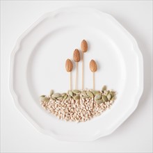 Composition of seeds, studio shot. 
Photo: Jessica Peterson