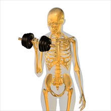 Conceptual image showing human skeleton doing workout. 
Photo : Calysta Images