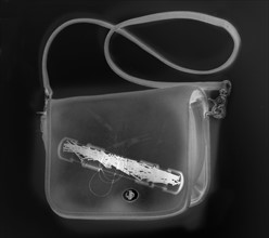 X-ray image showing handbag containing test tube with germs. 
Photo : Calysta Images