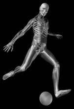 Digitally generated image of human representation playing soccer ball with human skeleton visible.