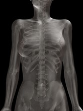 Digitally generated image of female representation with human skeleton visible. 
Photo : Calysta