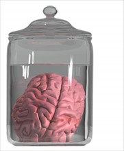 Studio shot of brain in decanter. 
Photo: Calysta Images