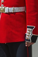 UK, London, Midsection of Honor Guard.