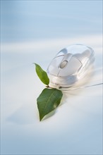 Studio shot of computer mouse with green leaf.