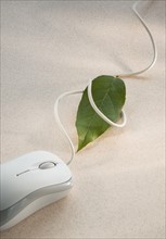 Computer mouse with green leaf.