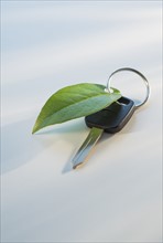 Studio shot of car key with ring and green leaf.