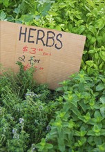 Herbs and price tag at market.