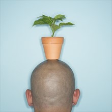 Back view of man with potted plant on head.