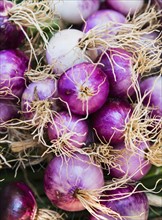 Close-up shot of red onions.
