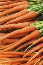Fresh carrots.