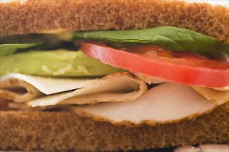 Close-up view of fresh sandwich. Photo: Jamie Grill