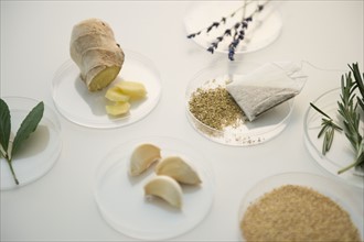 Studio Shot of various spices on petri dishes. Photo : Jamie Grill