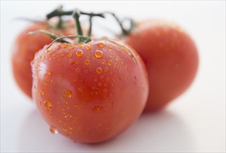 Studio Shot of fresh tomatoes. Photo : Jamie Grill