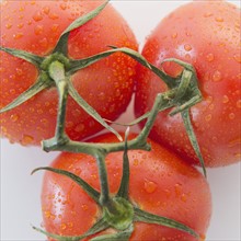 Studio Shot of fresh tomatoes. Photo : Jamie Grill