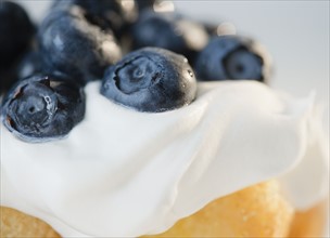 Close-up of whipped cream with blueberries. Photo: Jamie Grill