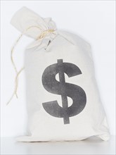 Studio shot of money bag. Photo : Daniel Grill