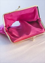 Studio shot of empty pink purse. Photo: Daniel Grill