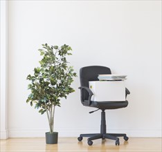 Studio shot of potted plant and office chair. Photo : Daniel Grill