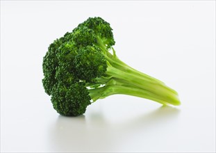 Broccoli on white background, studio shot.