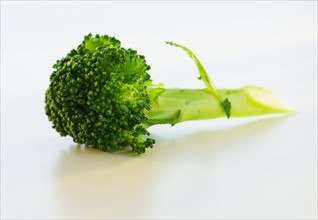 Broccoli on white background, studio shot.