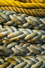 Braided ropes in harbor, close-up.