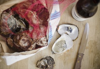 Raw oysters. Photo: Jamie Grill