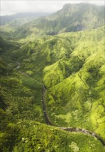 Green mountains. Photo : Jamie Grill
